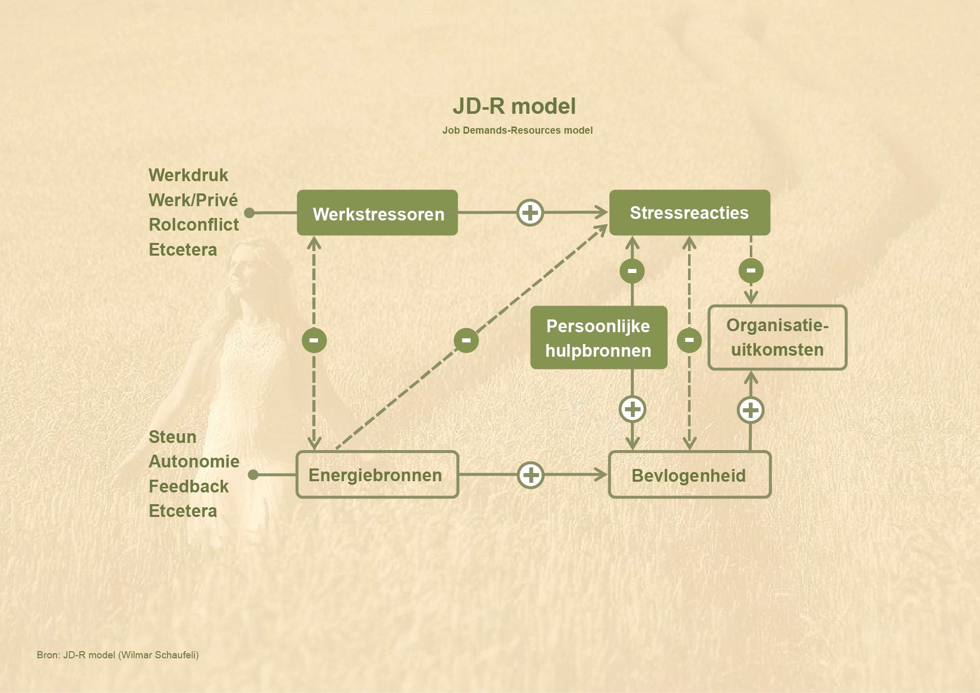 afbeelding van model JDR-model
