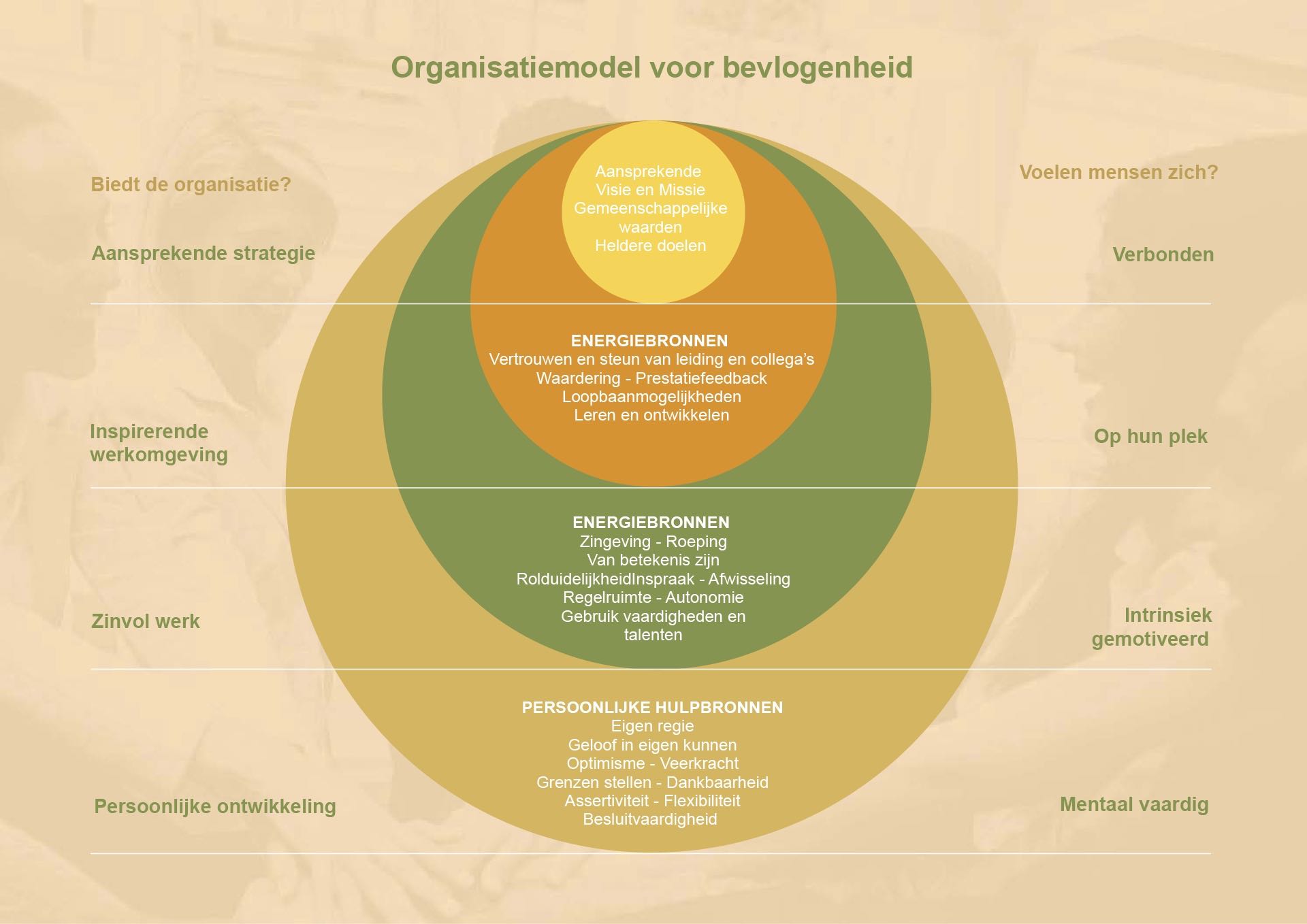 afbeelding van model Organisatiemodel voor bevlogenheid