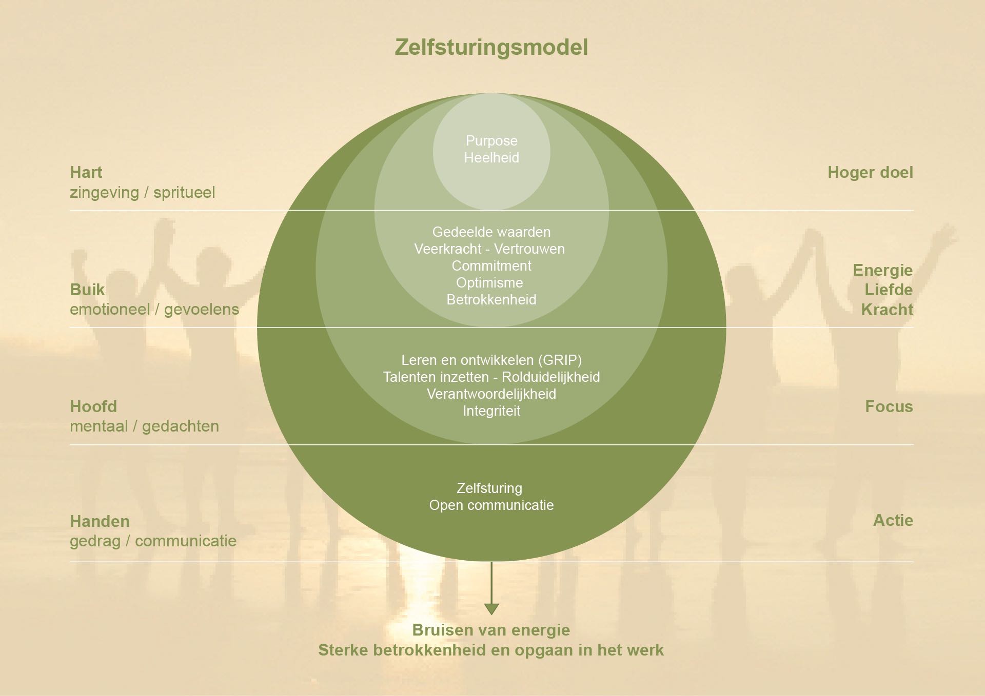 afbeelding van model Zelfsturingsmodel